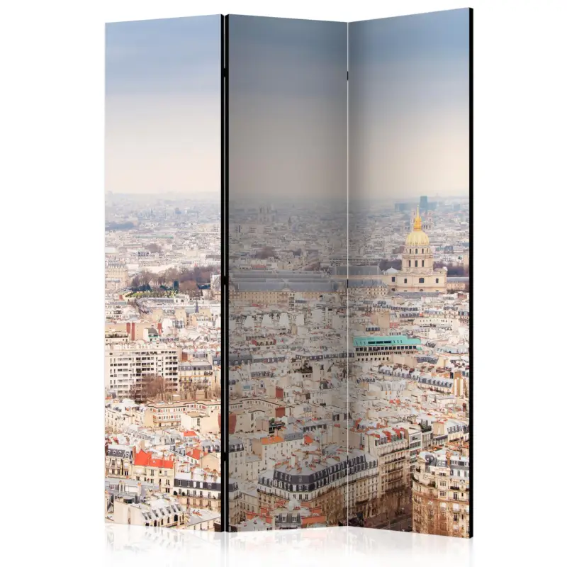 Acheter En Ligne Kamerscherm - Paris Streets [Room Dividers] - 135x172
