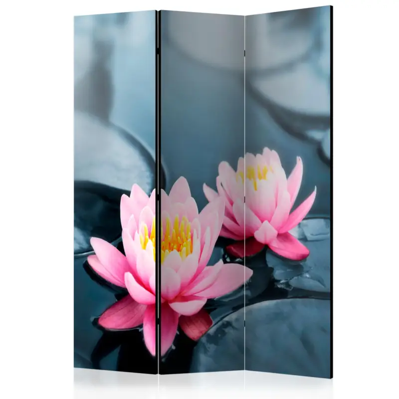 Achetez Aujourd’hui Kamerscherm - Lotus blossoms [Room Dividers] - 135x172