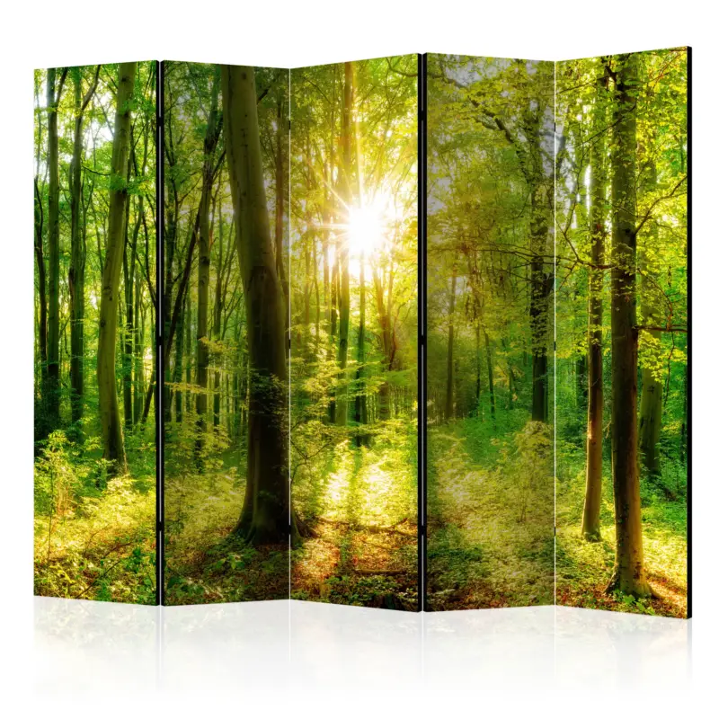 Achat Immédiat Kamerscherm - Forest Rays II [Room Dividers] - 225x172