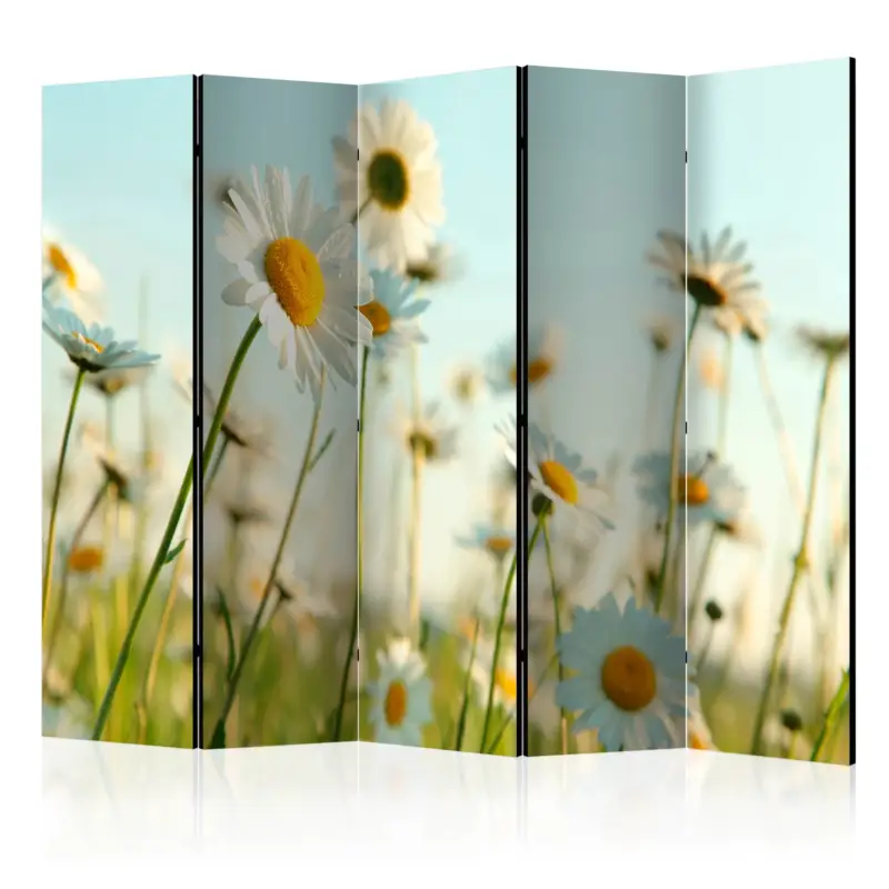 Acheter Direct Kamerscherm - Daisies - spring meadow II [Room Dividers] - 225x172