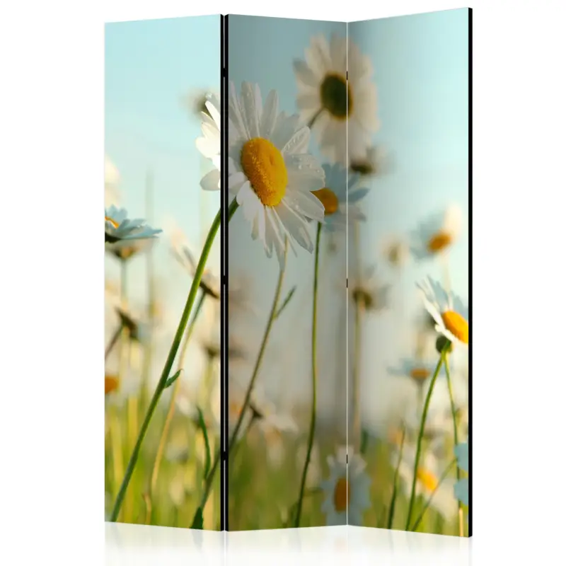 Achetez Aujourd’hui Kamerscherm - Daisies - spring meadow [Room Dividers] - 135x172