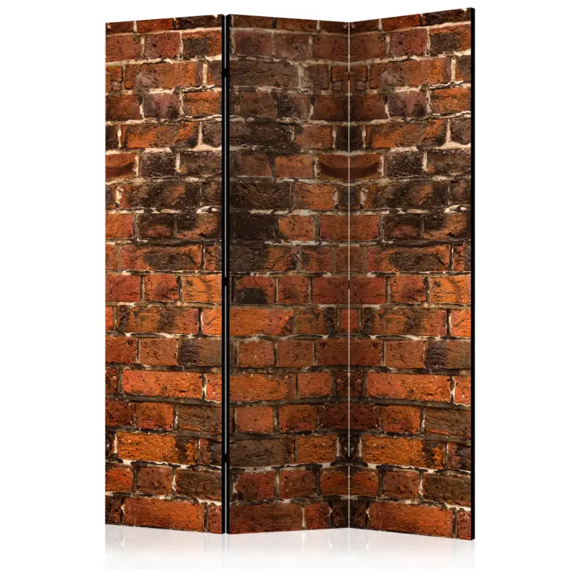 Acheter Direct Kamerscherm - Brick Shadow [Room Dividers] - 135x172