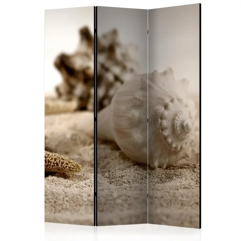 Acheter Direct Kamerscherm - Beach and shell [Room Dividers] - 135x172