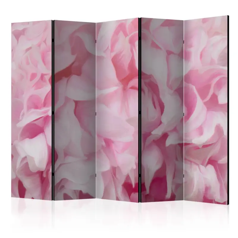 Achat Immédiat Kamerscherm - azalea (pink) II [Room Dividers] - 225x172