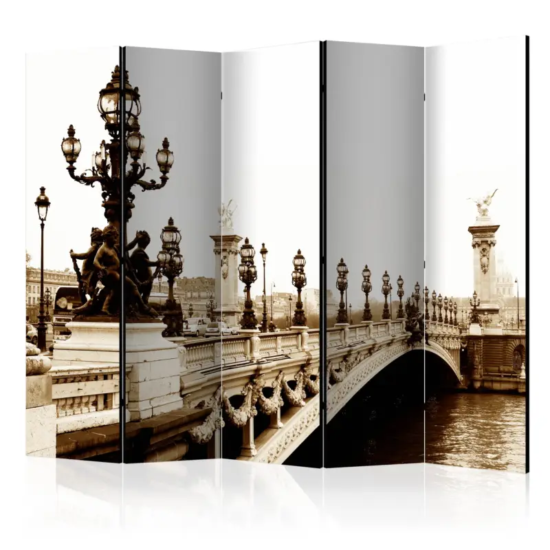 Acheter Direct Kamerscherm - Alexander III Bridge, Paris II [Room Dividers] - 225x172
