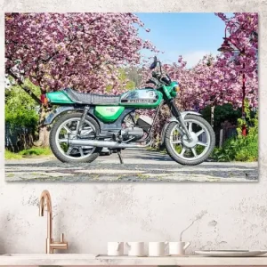 Zündapp KS50 van Wilde50er - NL1287027M13S75x50 Expédié Aujourd’hui