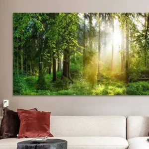 Zonsopgang in het bos van Günter Albers - NL473691M13S90x45 Retour Gratuit