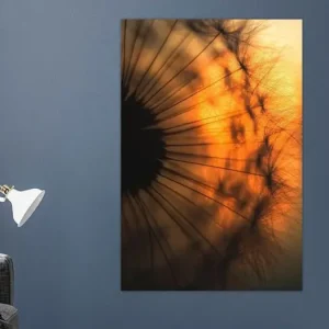 Zonsondergang van Ricky Siegers - NL1003094M13S50x75 Meilleur Choix