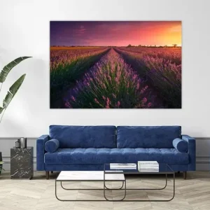 Zonsondergang over lavendelvelden in Toscane van Stefano Orazzini - NL1160187M13S75x50 Prix Promo