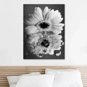 Zwart - Wit: Witte Gerbera van Marjolijn van den Berg - NL1108216M13S60x80 Populaire