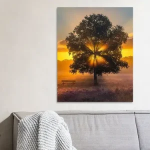 Zonsopkomst in de Gasterse Duinen, Drenthe van Henk Meijer Fotografie - NL1042202M13S55x70 Meilleur Choix