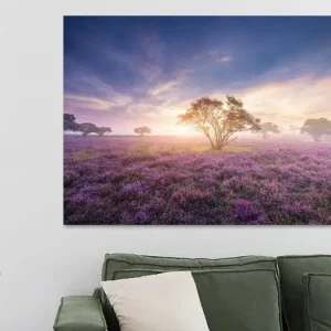 Zonsopkomst Zuiderheide van Gerard Veenhof - NL306649M13S75x50 Bon Marché