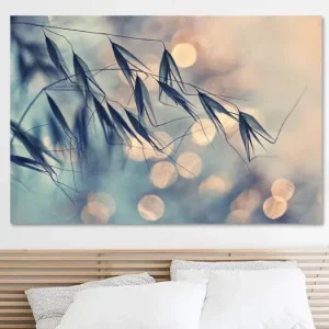 ...<<< van Dimitar Lazarov - Dim - NL614390M13S75x50 Commander Vite