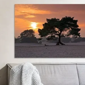 Zonsondergang zandverstuivings gebied Soesterduinen van Anton de Zeeuw - NL97103M13S80x55 Usine Directe