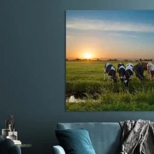 Zonsondergang met koeien in de polder van Martin Bredewold - NL107837M13S75x50 Expédié Aujourd’hui