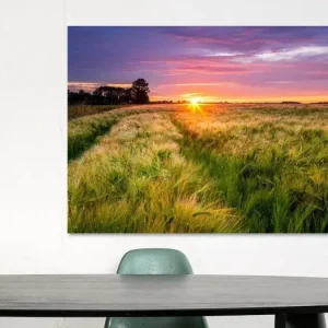Zonsondergang boven een gerst veld van Ellen van den Doel - NL482105M13S75x50 Bon Plan