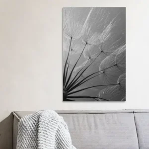 Zwart wit: Pluisjes in het licht van Marjolijn van den Berg - NL1859841M13S50x75 Offre Exclusive