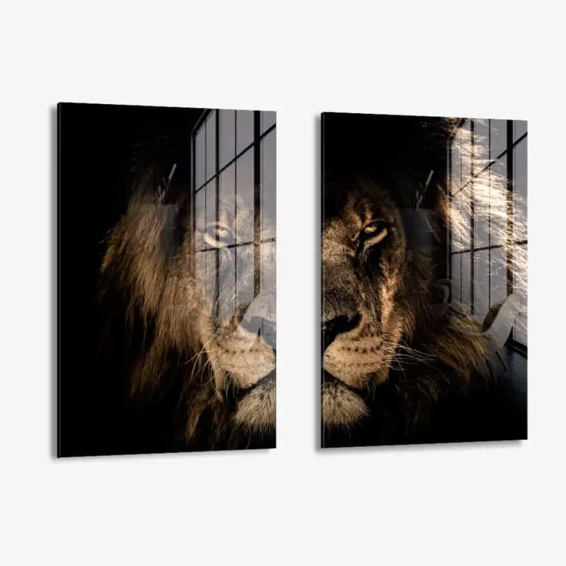 Achetez Aujourd’hui Lion in the Dark (2x) - Glass - Gehard glas - (2x ) 40x60 cm - Zonder lijst