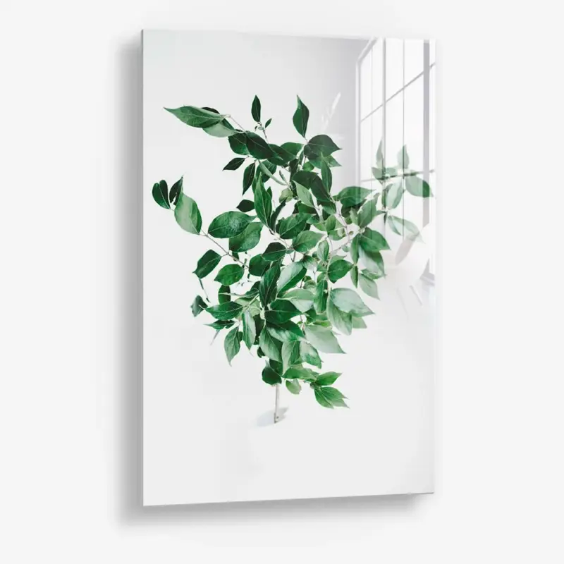 Vente Flash Green Construct – Glass - Gehard glas - 40x60 cm - Zonder lijst