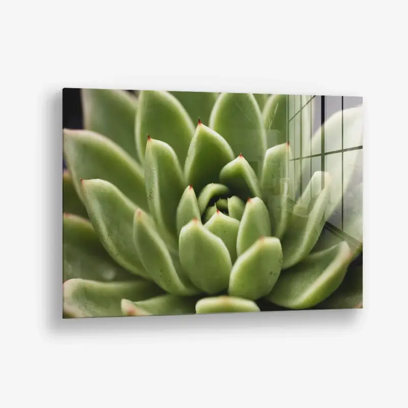 Thorn Array – Glass - Gehard glas - 40x60 cm - Zonder lijst Remise