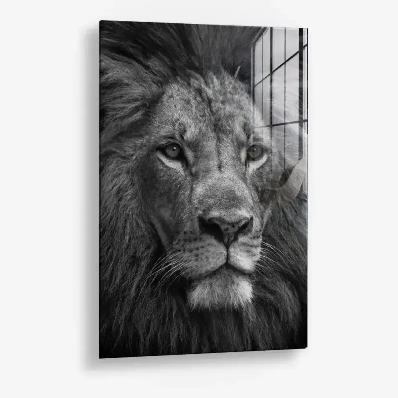 Throneborn – Glass - Gehard glas - 40x60 cm - Zonder lijst Meilleur Prix