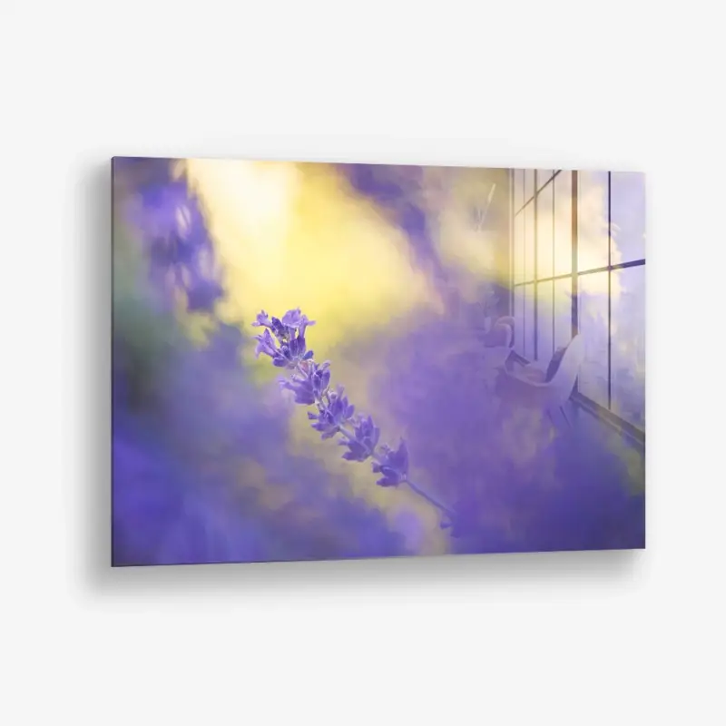 Usine Directe Violet Frequency – Glass - Gehard glas - 40x60 cm - Zonder lijst
