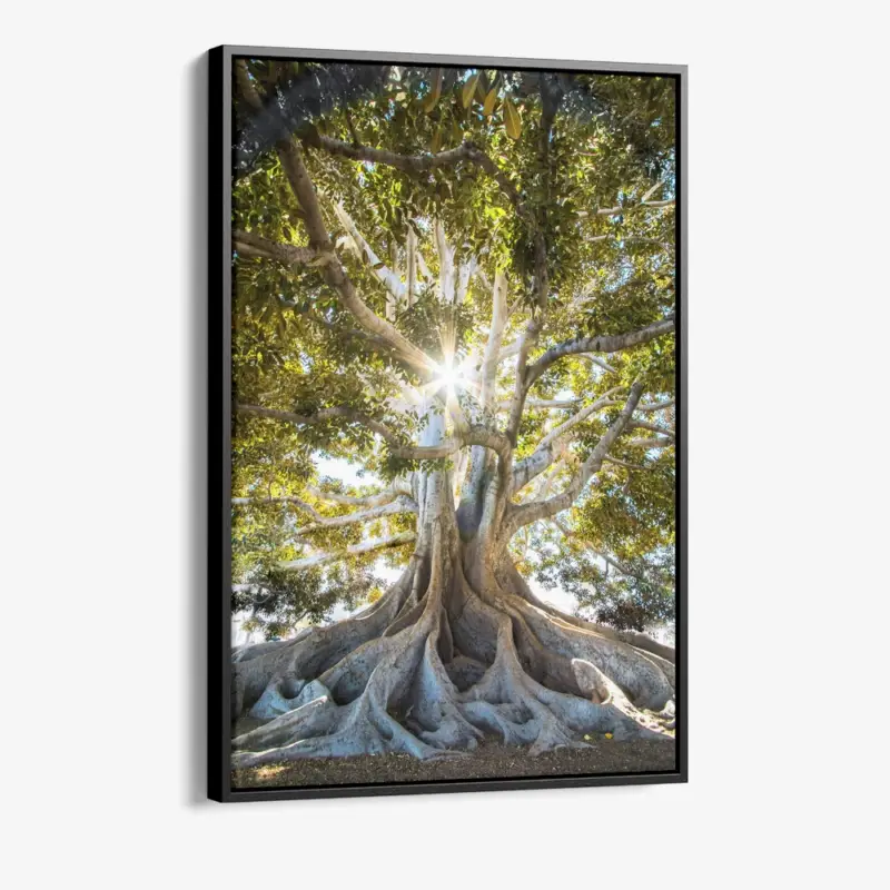 "Anchorlight" - Canvas - 40x60 cm Usine Directe