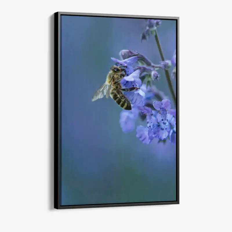 "Blue Range Work" - Canvas - 40x60 cm Solde