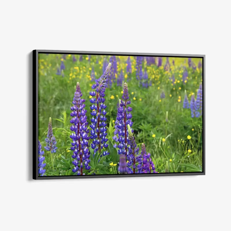 "Field Cipher" - Canvas - 40x60 cm Top Vente