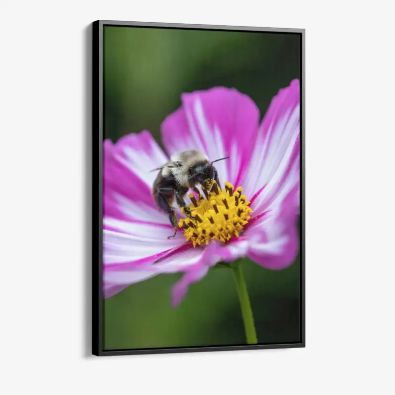 "Flarepoint" - Canvas - 40x60 cm Populaire