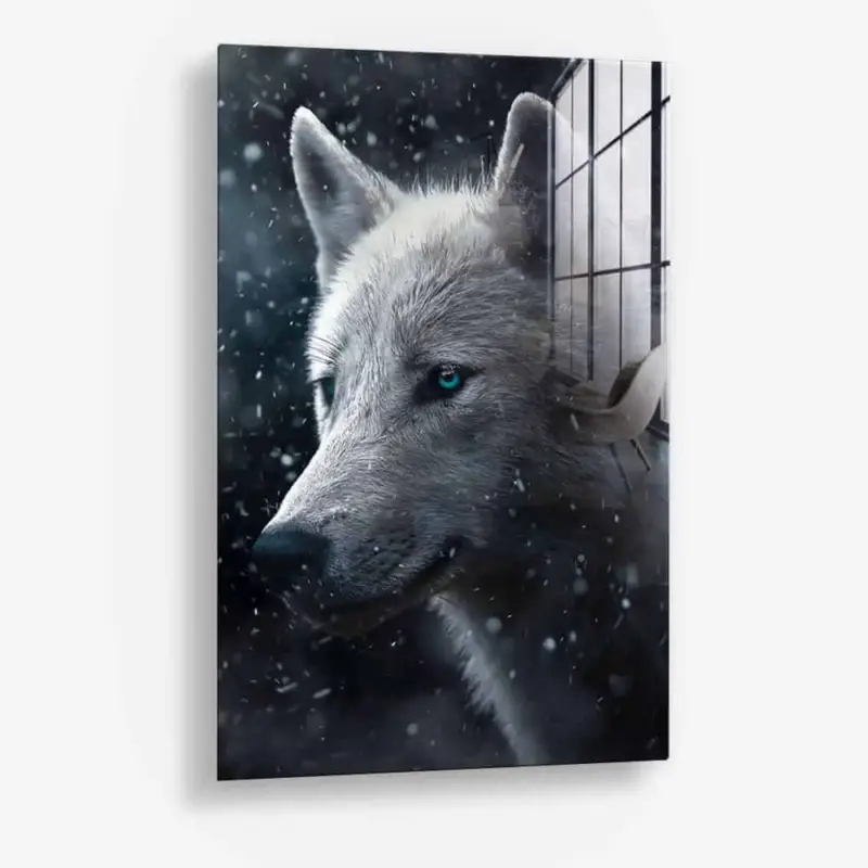 Vente Flash Snowy Wolf - glass - Gehard glas - 40x60 cm - Zonder lijst