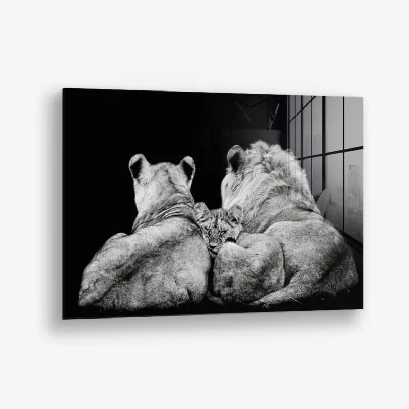 The Lion Family III – Glass - Gehard glas - 40x60 cm - Zonder lijst Solde