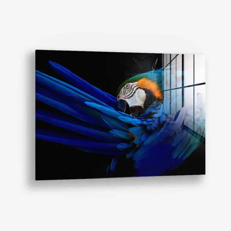 The Parrot – Glass - Gehard glas - 40x60 cm - Zonder lijst Offre Spéciale