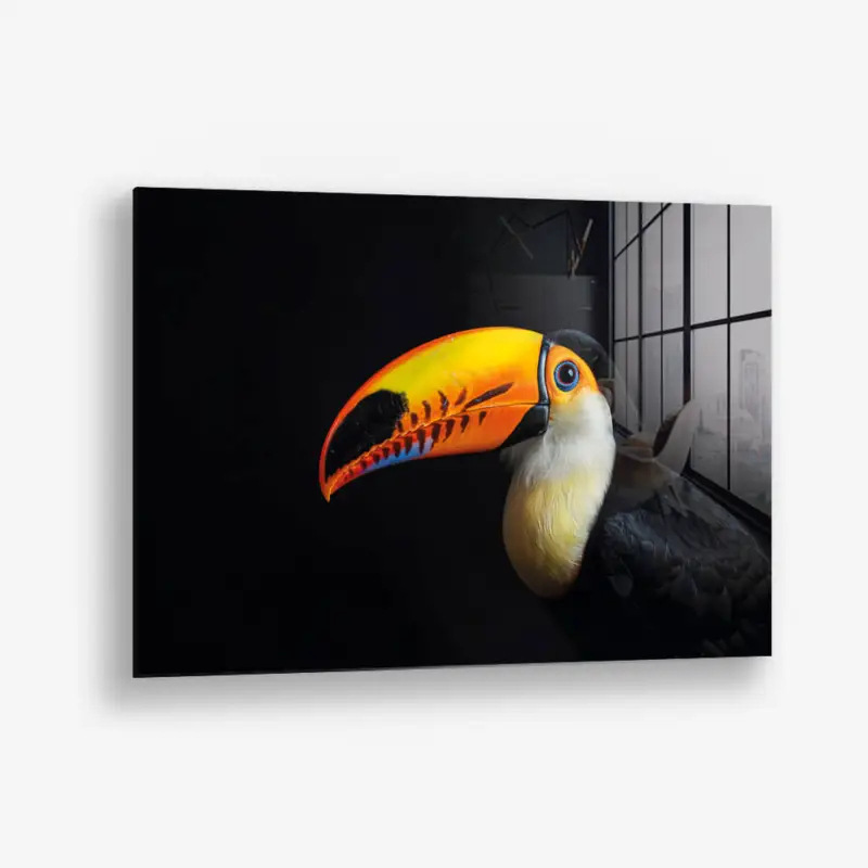 Toucan – Glass - Gehard glas - 40x60 cm - Zonder lijst Nouveauté