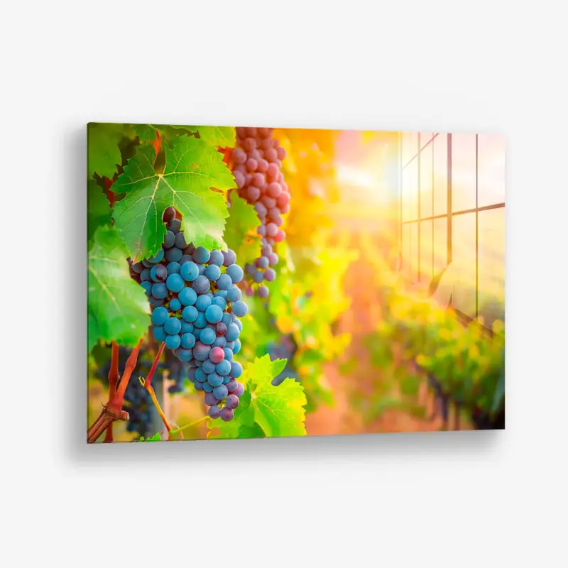 Vineyard Grape – Glass - Gehard glas - 40x60 cm - Zonder lijst Top Vente