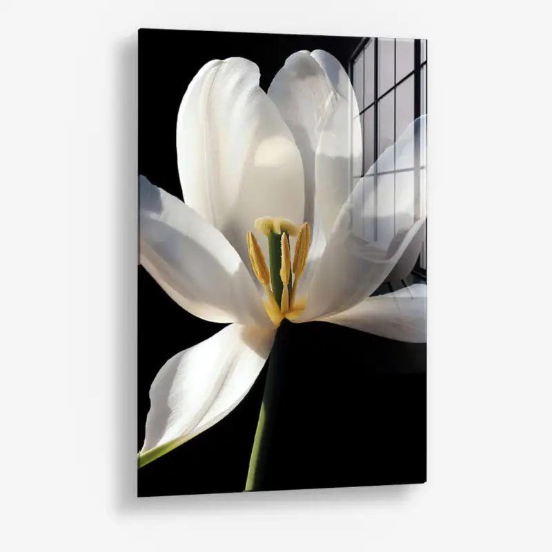 White Flower – Glass - Gehard glas - 40x60 cm - Zonder lijst Paiement Sécurisé