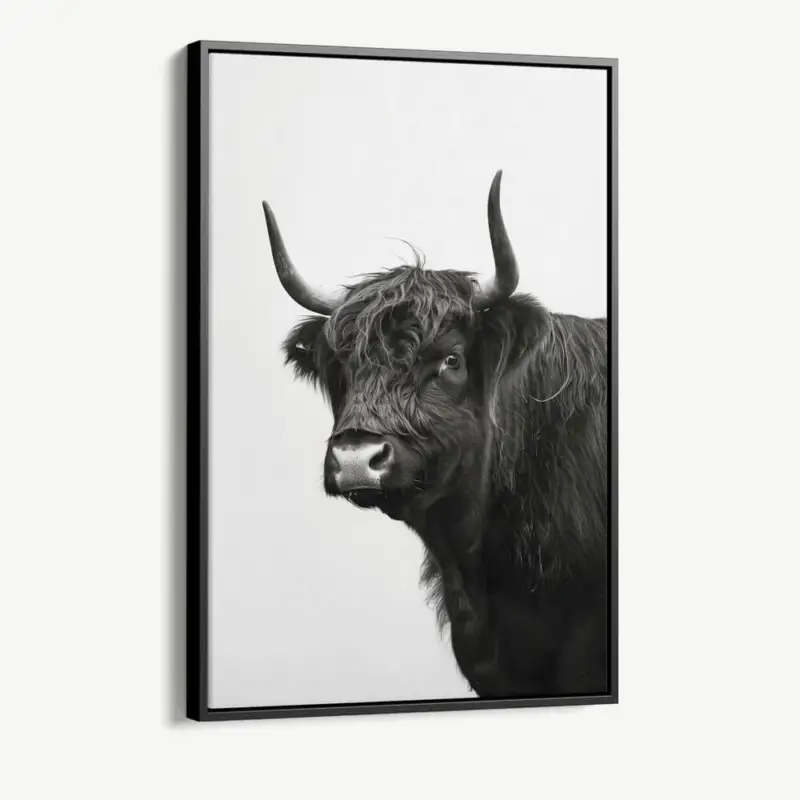 "B&W Muscox II" - Canvas - 40x60 cm Soldes