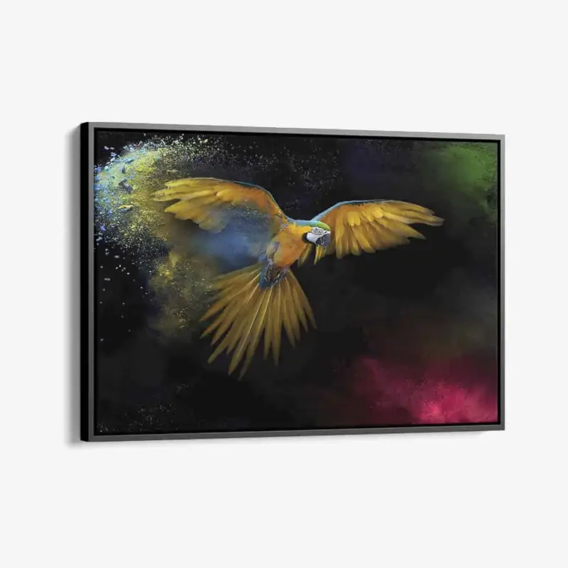 "Color Parrot" - Canvas - 40x60 cm Meilleur Prix