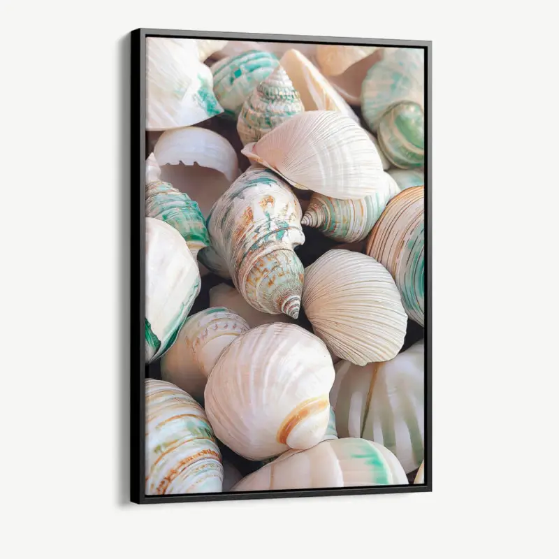 Usine Directe "Sea Shell" - Canvas - 40x60 cm