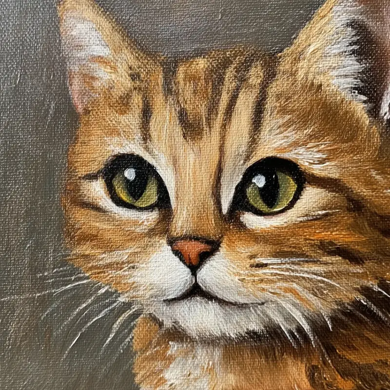 Acheter Direct Dromerige Kattenblik - Dibond / 30x30