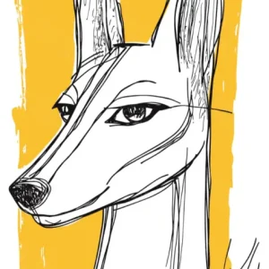 Achetez Aujourd’hui Grafische Dierenblik - Dibond / 30x40