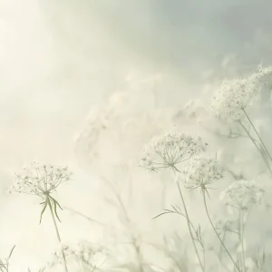 Witte Bloemen in Zachte Mist - Canvas / 60x90 Offre Spéciale