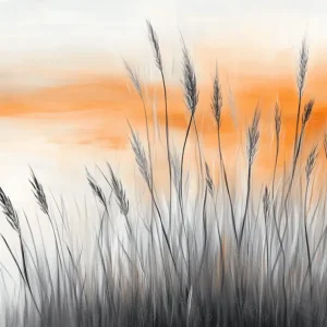 Zonsondergang in Rietveld - Canvas / 30x40 Prix Choc